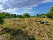 Teren intravilan 60 ari cu iaz si cabana, Ilisesti 