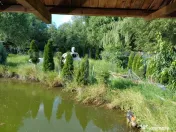Teren intravilan 60 ari cu iaz si cabana, Ilisesti 