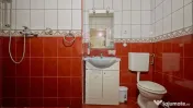 APARTAMENT ISTORIC 110 MP CU POD SI VEDERE SPRE STRADA RE... 