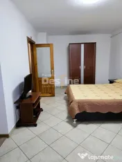 Garsonieră spațioasă de închiriat – Bd. Brăilei, Foc? 