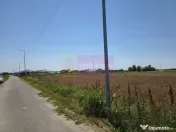 Teren pentru casă aproape de București 