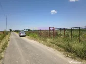 Teren pentru casă aproape de București 