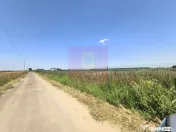 Teren pentru casă aproape de București