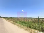 Teren pentru casă aproape de București