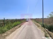 Teren pentru casă aproape de București