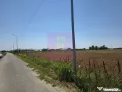 Teren pentru casă aproape de București