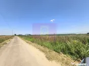 Teren pentru casă aproape de București 