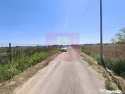 Teren pentru casă aproape de București 