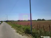 Teren pentru casă aproape de București 