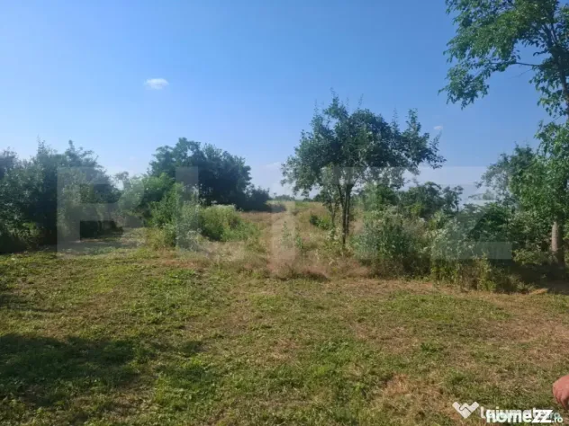 Casa individuala, 100 mp, teren 5000 mp, zona Mogosani - Mogosani (Dambovita)