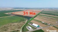 Teren 31HA patrat la drum Vanatori 