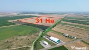 Teren 31HA patrat la drum Vanatori 