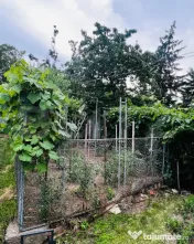 Apartament ultracentral, 74 mp, renovabil 