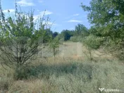 Casă de vacanță, 5 camere 100 mp utili, 3400 mp teren, zo 