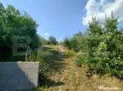 Casă de vacanță, 5 camere 100 mp utili, 3400 mp teren, zo 