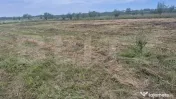 Teren intravilan de vanzare, 1000 mp, in Martinesti 
