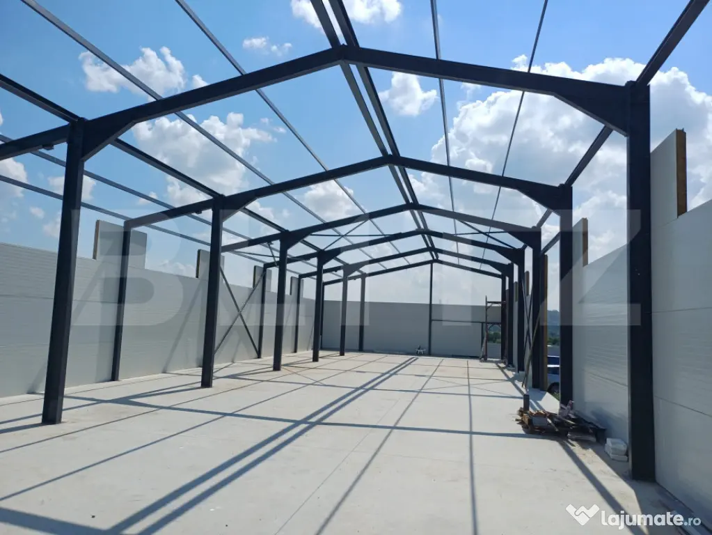 Hală industrială/depozitare, 440 mp, 1650 mp teren, zona B