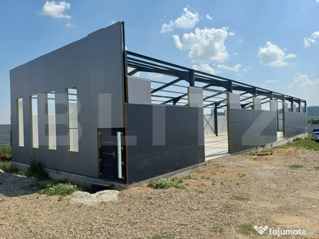 Hală industrială/depozitare, 440 mp, 1650 mp teren, zona B