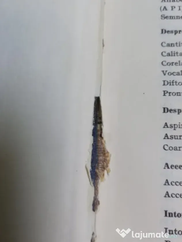 Gramatica limbii germane 1974
