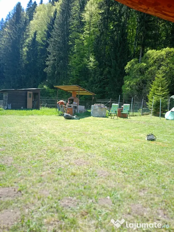 Cabană Mansardată de Vânzare în Lepșa – Priveliște Superbă și Liniște