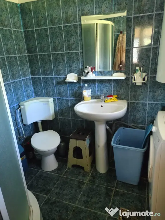 Cabană Mansardată de Vânzare în Lepșa – Priveliște Superbă și Liniște