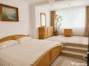 Baia Mare I Casa solida pentru doua familii cu teren genero 