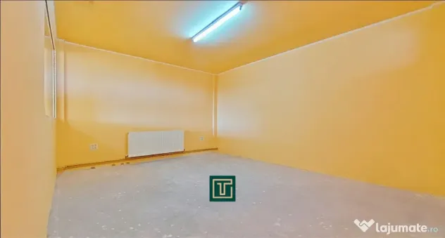 Clădire cu 10 camere în Aradul Nou – ideală pentru inve