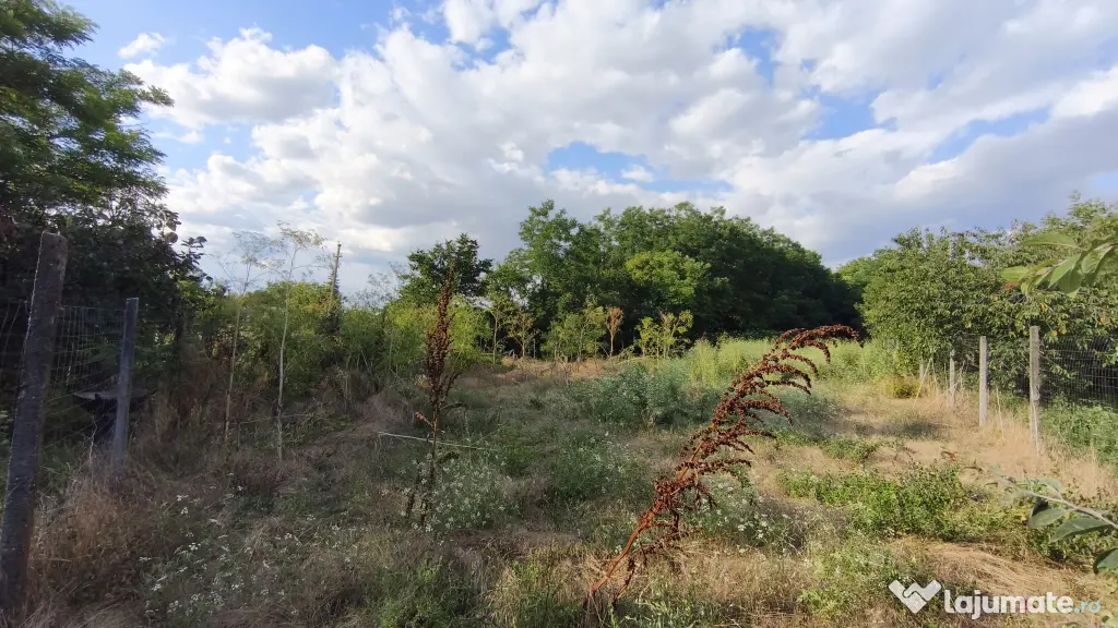 Teren intravilan 1.112 mp — zonă centrală, Frumușani, jud. Călărași