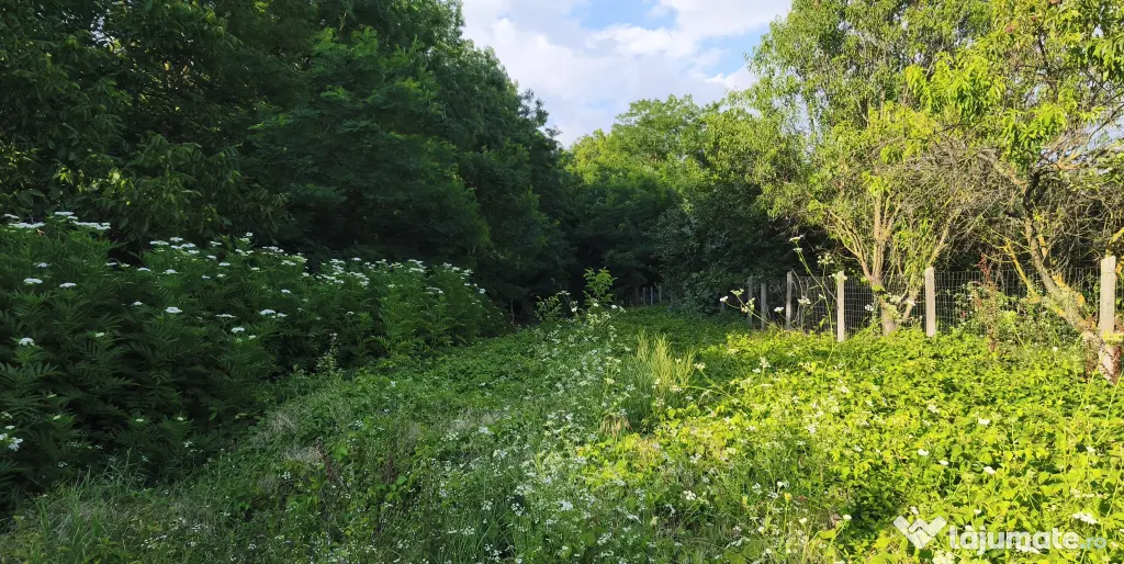 Teren intravilan 1.112 mp — zonă centrală, Frumușani, jud. Călărași