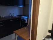 Dimitrie leonida uliesti aparatorii patriei 