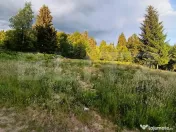 Teren intravilan de vânzare – 1500 mp, Colibita, front 25