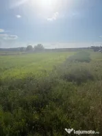 Teren de vanzare, 2090 mp, zona Gara Filiasi