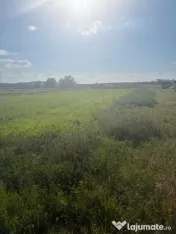 Teren de 2090 mp, vizavi de gara din Filiasi 