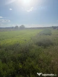 Teren de 2090 mp, vizavi de gara din Filiasi 