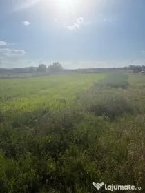Teren de 2090 mp, vizavi de gara din Filiasi