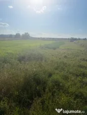 Teren de 2090 mp, vizavi de gara din Filiasi 