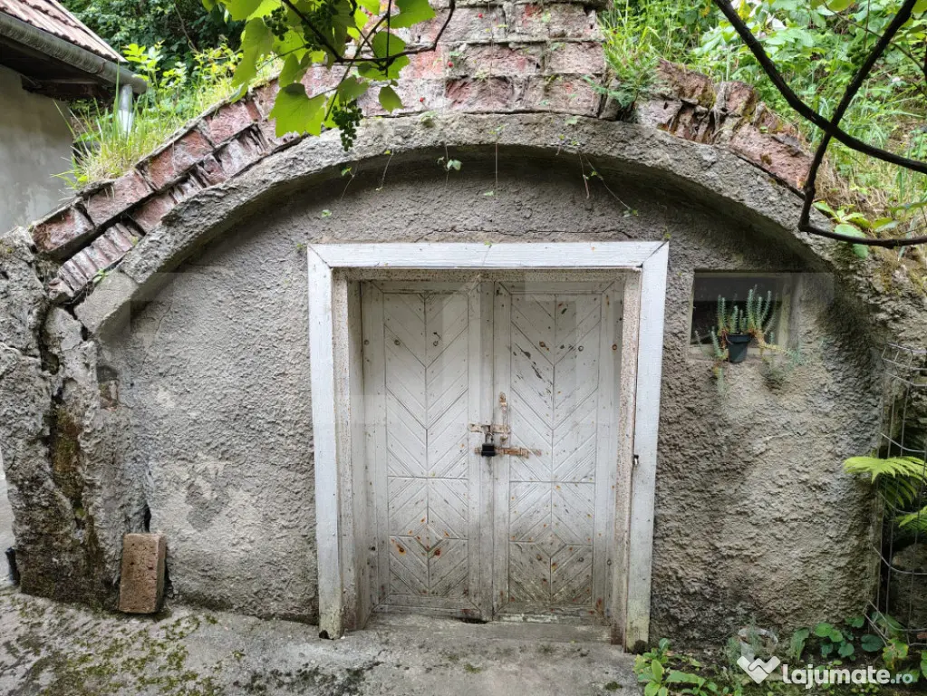 Casa individuala in zona Plopilor