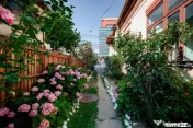 Casă + teren de vânzare în centrul Piteștiului, Strad... 