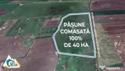 Teren PASUNE de 40ha, Comasat 100%, cu FS de 961 ml la Drumu 