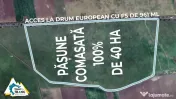 Teren PASUNE de 40ha, Comasat 100%, cu FS de 961 ml la Drumu 