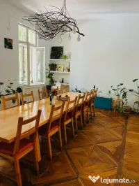 Masă lemn masiv fag – 100 x 360 cm