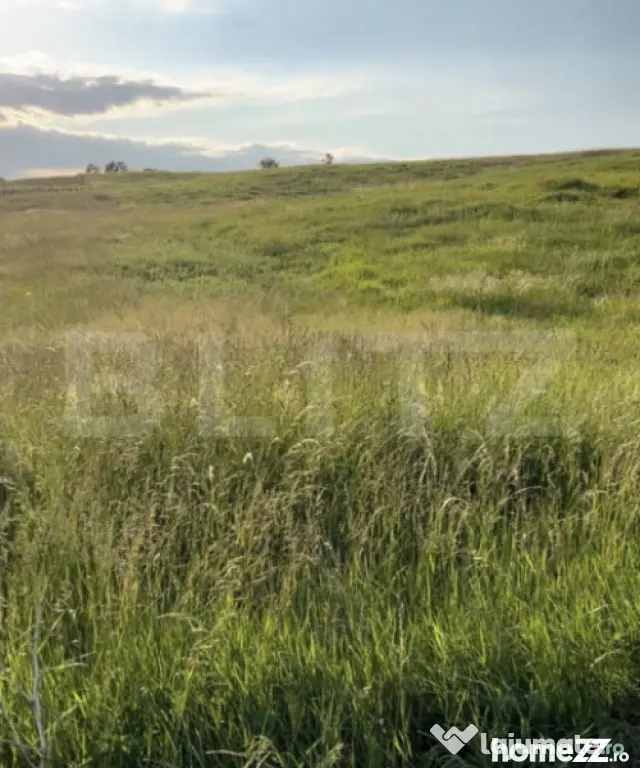 Teren intravilan de vanzare, zona Sigmir, 9 arii - Bistrita (Bistrita-Nasaud)