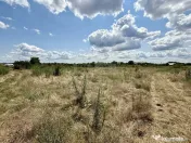 Teren Intravilan 2390mp - parcelabil - Malu Mare