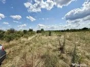 Teren Intravilan 2390mp - parcelabil - Malu Mare
