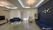 Vila Colentina- Andronache 