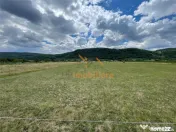 TEREN INTRAVILAN 8000 MP | PARTIAL IMPREJMUIT | PESTERE | BI 