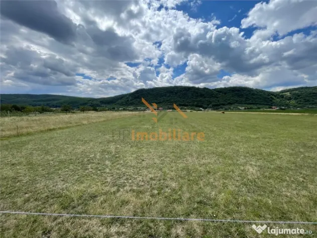 TEREN INTRAVILAN 8000 MP | PARTIAL IMPREJMUIT | PESTERE | BI