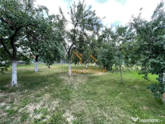 TEREN INTRAVILAN 8000 MP | PARTIAL IMPREJMUIT | PESTERE | BI