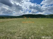 TEREN INTRAVILAN 8000 MP | PARTIAL IMPREJMUIT | PESTERE | BI 