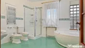 Vila Deosebita cu piscina Erou Iancu Nicolae